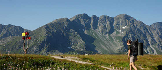 Roháče